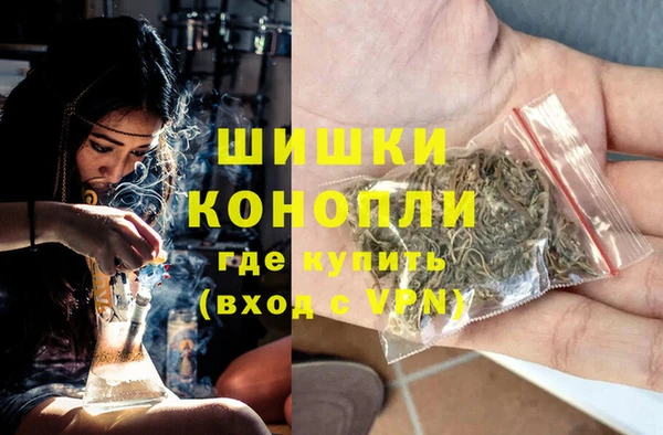 дживик Тобольск